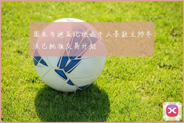 国米与迪亚比达成个人条款主帅齐沃已批准交易计划