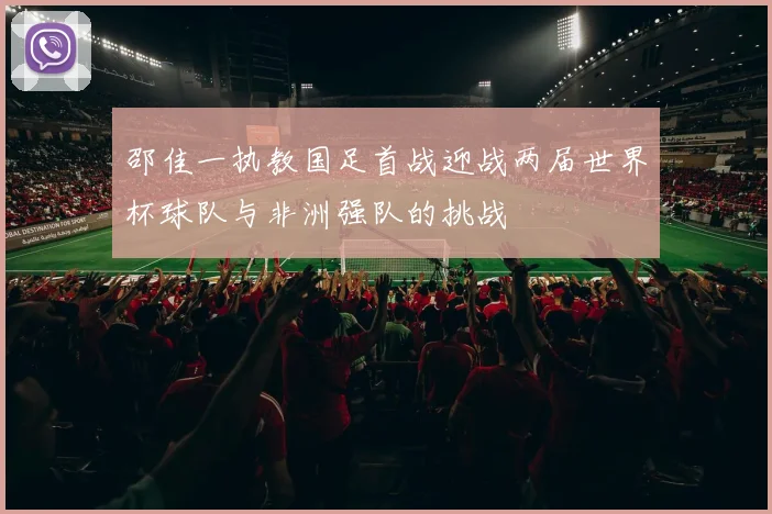 邵佳一执教国足首战迎战两届世界杯球队与非洲强队的挑战